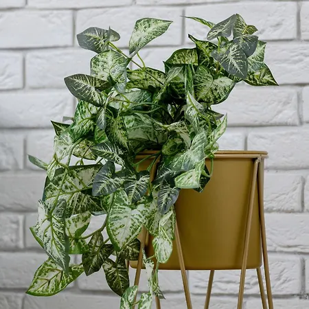 Nowoczesny & Klimatyzowany Z Parkingiem By Renters * Cracóvia