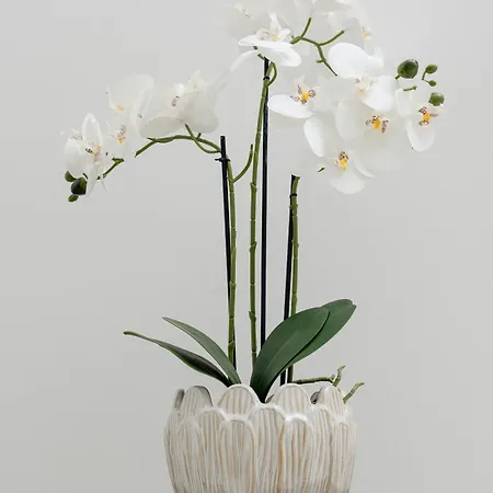 Nowoczesny & Klimatyzowany Z Parkingiem By Renters